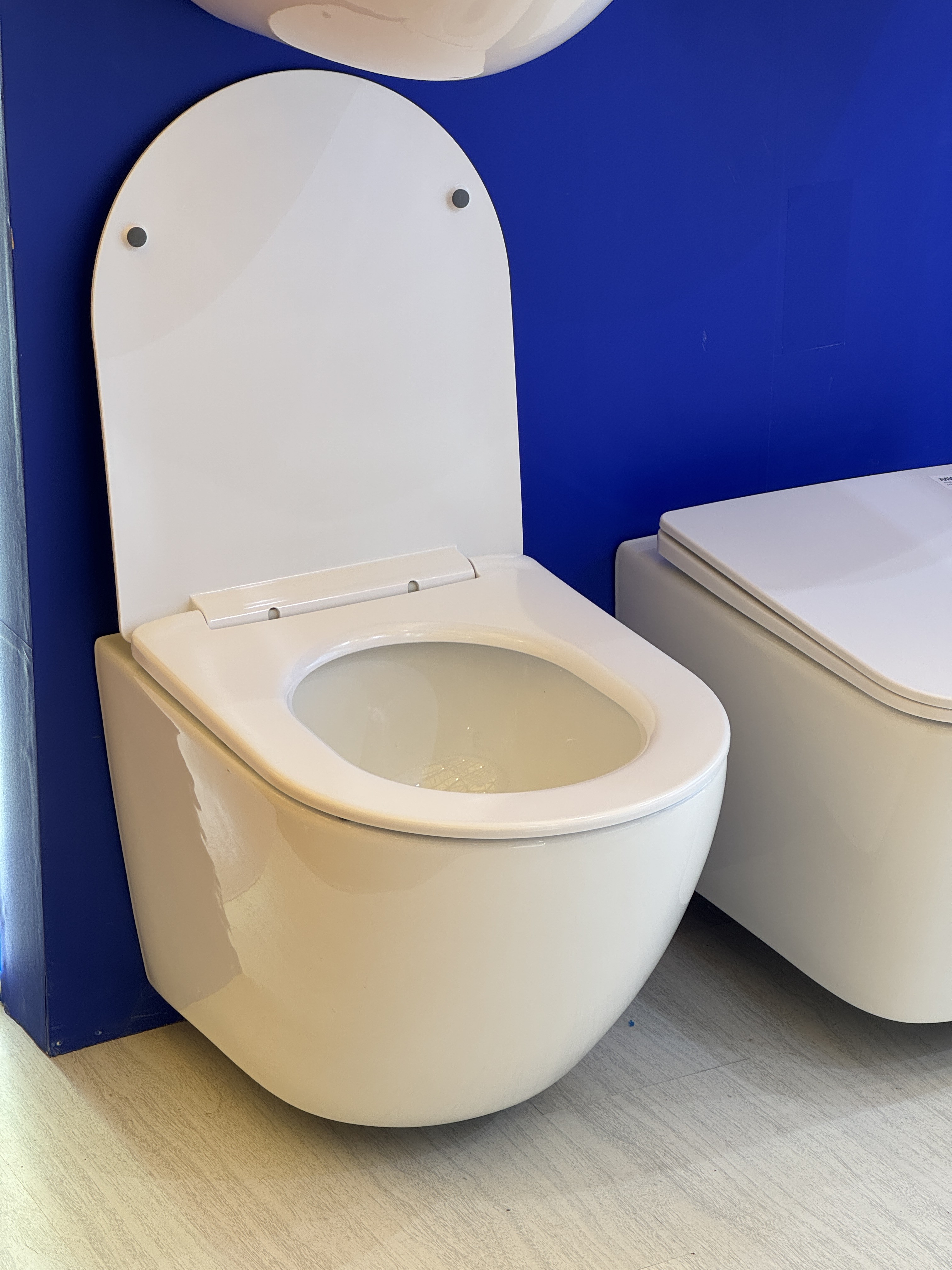 wall hung toilet