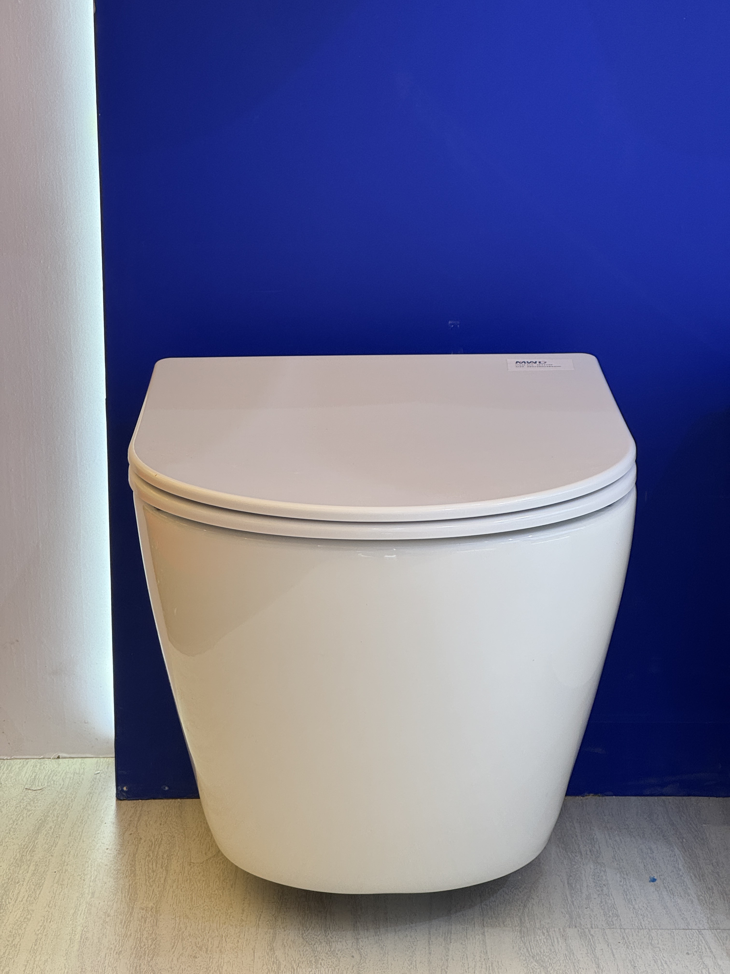 wall hung toilet