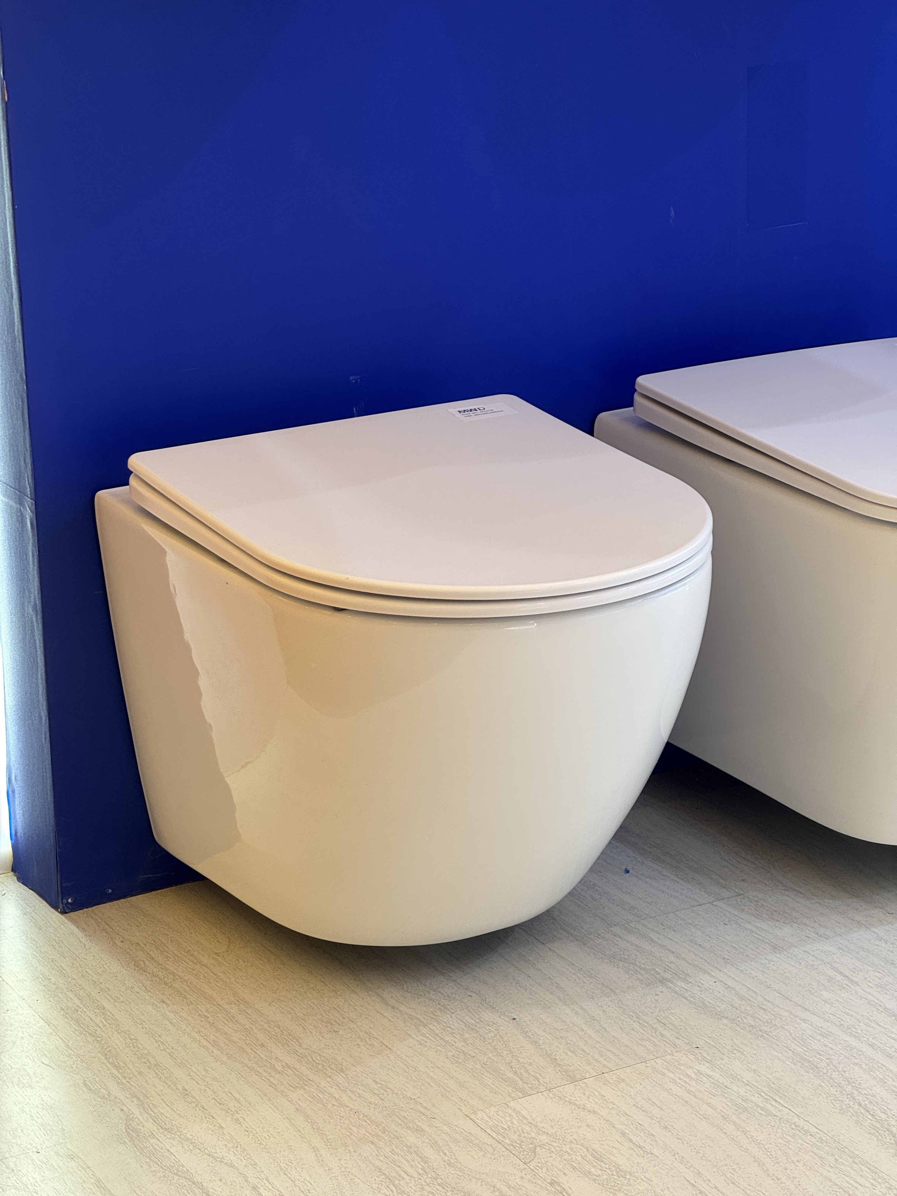 wall hung toilet