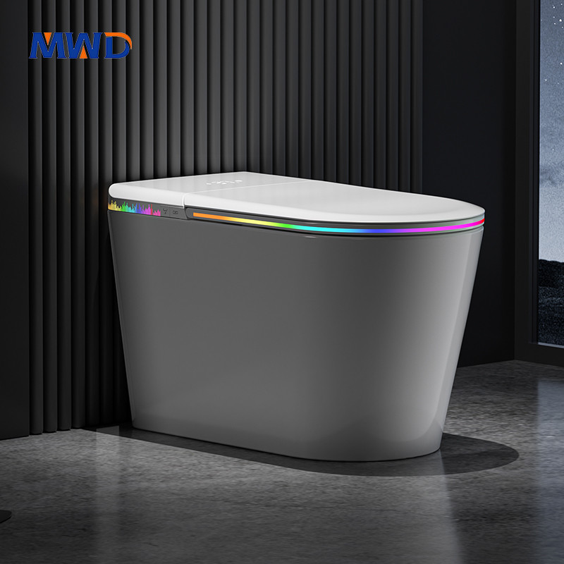 CE certified smart toilet