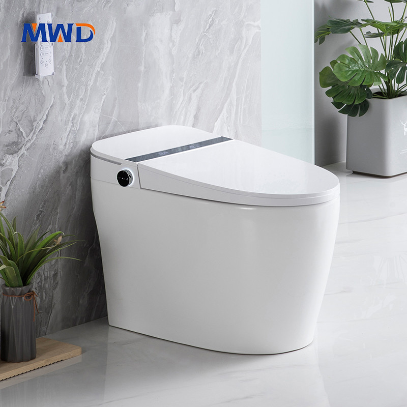 CE certified smart toilet