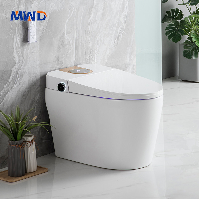 CE certified smart toilet