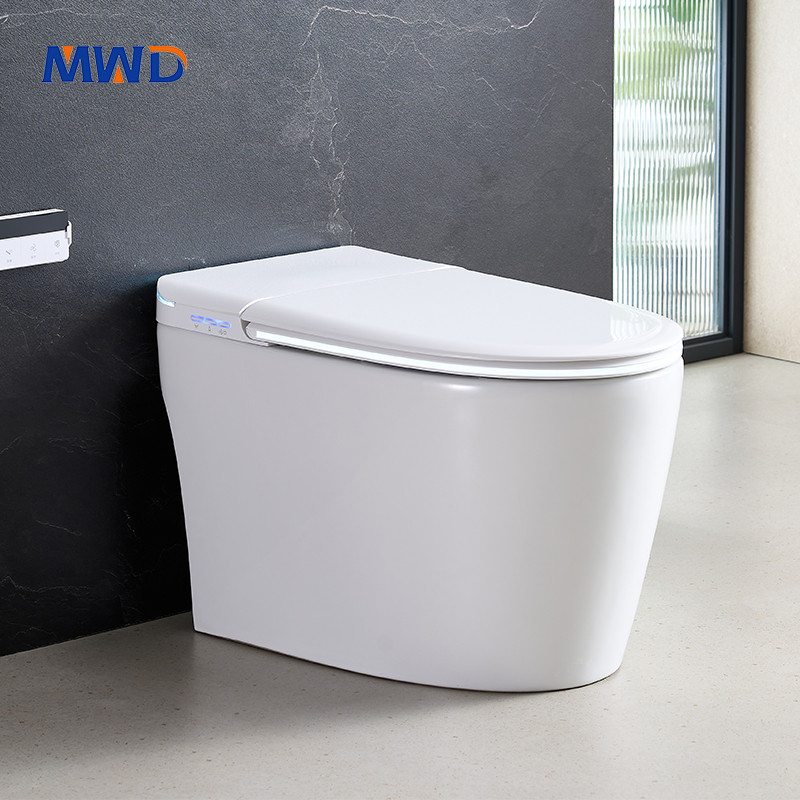 CE certified smart toilet