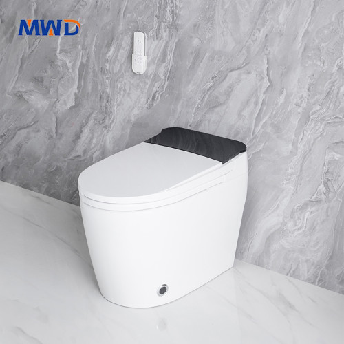 Smart One-Piece Toilet – Auto Open/Close cover Seat Heating LED Display