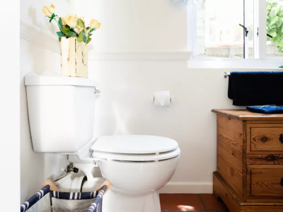 How the Toilet Tank Works