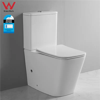 CE Watermark Sanitary Ware Commode Dual Flushing R&T Fitting P-trap Two Piece Toilet