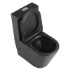 Sanitary Ware Watermark Black White Water Closet Bathroom Floor Mounted Two Piece Toilet