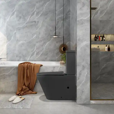 Sanitary Ware Supplier Two Piece Toilet Floor Mounted Water Closet Grey Toilet Bowl