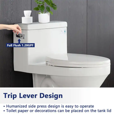 Sanitary Ware Water Saving White S-Trap Siphonic One Piece Toilet WC Set toilette