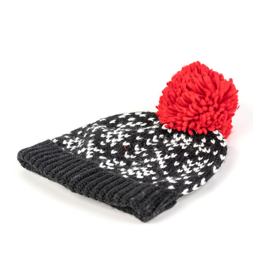 Wholesale Knittd Beanie Hat Caps Winter Warm Hats beanie Caps for Women Cuffed Cap With Pom Poms ODM