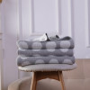 Wholesale Grey Globe Chenille Soft Blanket Reversible Premium Cozy Fabric
