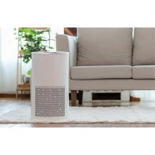 What Are the Benefits of Using an Air Purifier?