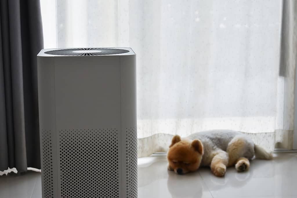  the correct use of air purifiers
