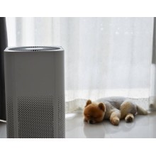 How to Use an Air Purifier to Make It Work Best?