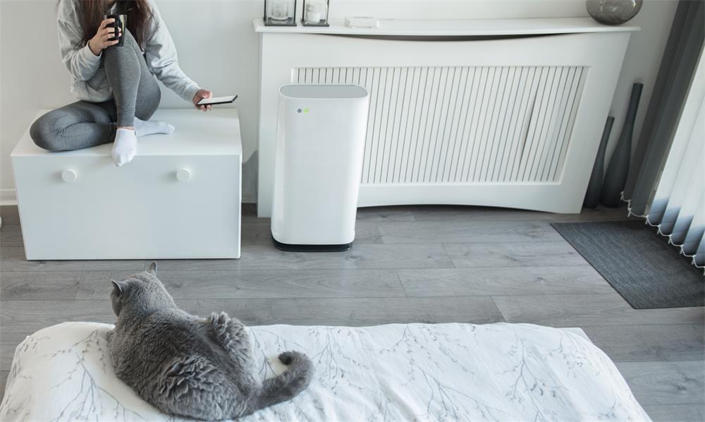 What Factors Should We Pay Attention to when We Choose an Air Purifier?