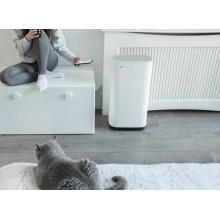 What Factors Should We Pay Attention to when We Choose an Air Purifier?