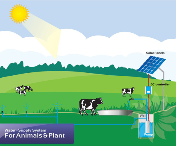 TPON solar powered water pumps can easily solve the problem of drinking water for livestock in pastures.