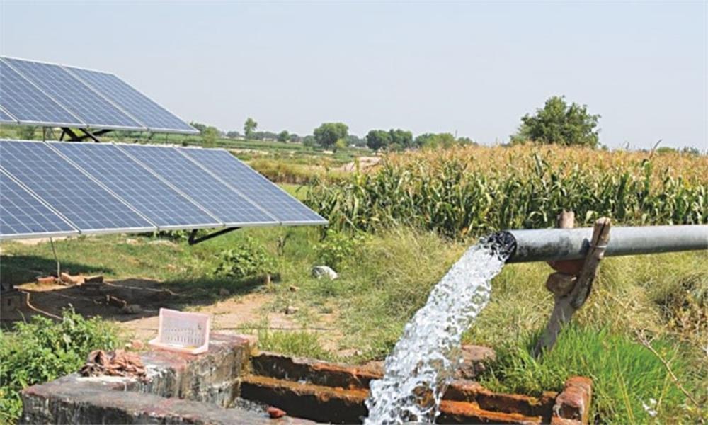  tips for choosing the right solar water pump