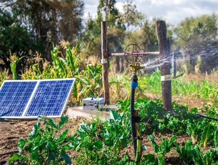 What Are the Technical Advantages and Prospects of Solar Water Pumps?