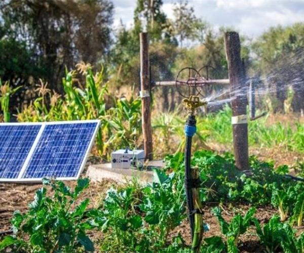 What Are the Technical Advantages and Prospects of Solar Water Pumps?