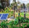 What Are the Technical Advantages and Prospects of Solar Water Pumps?