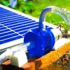 Is Your Solar Pumping System Ready for Winter?