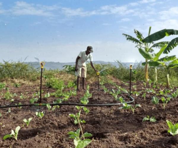 How to Choose a Solar Water Pump with the Right Flow?