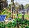 How Do Solar Water Pumps Work?