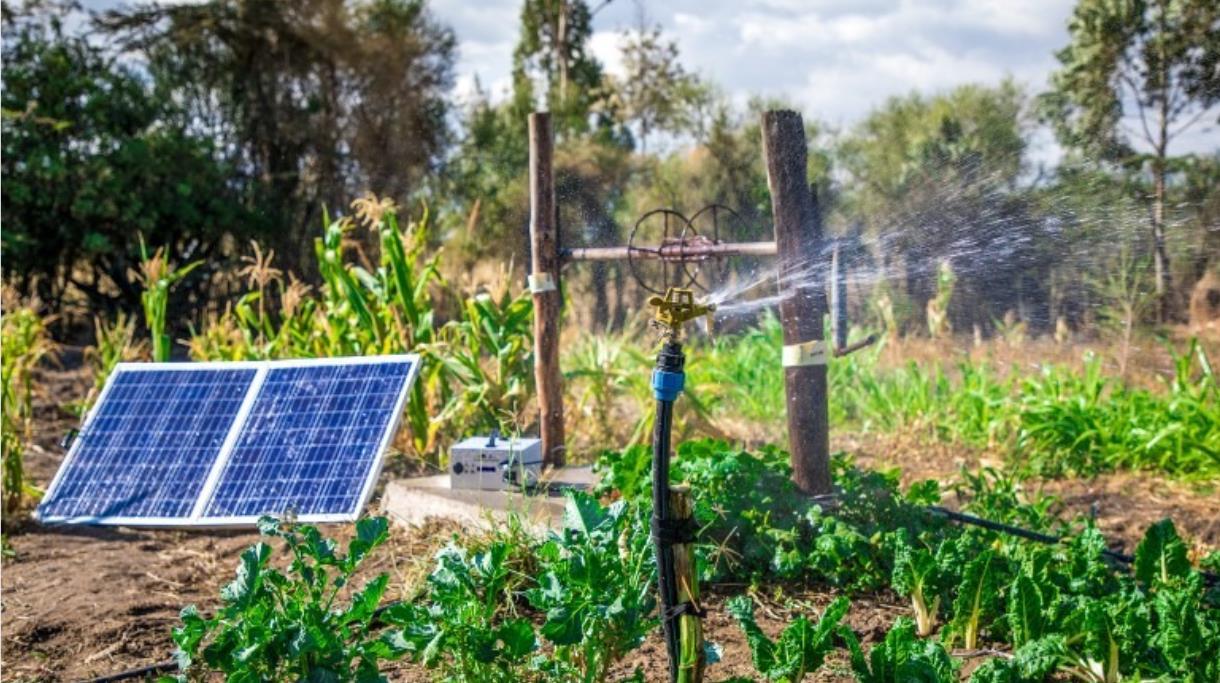 solar water pump