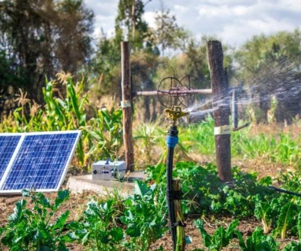 How Do Solar Water Pumps Work?
