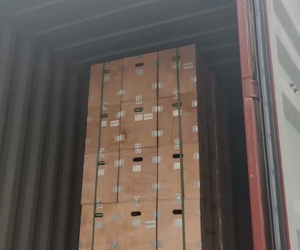 TPON's solar water pump factory is bustling with shipments