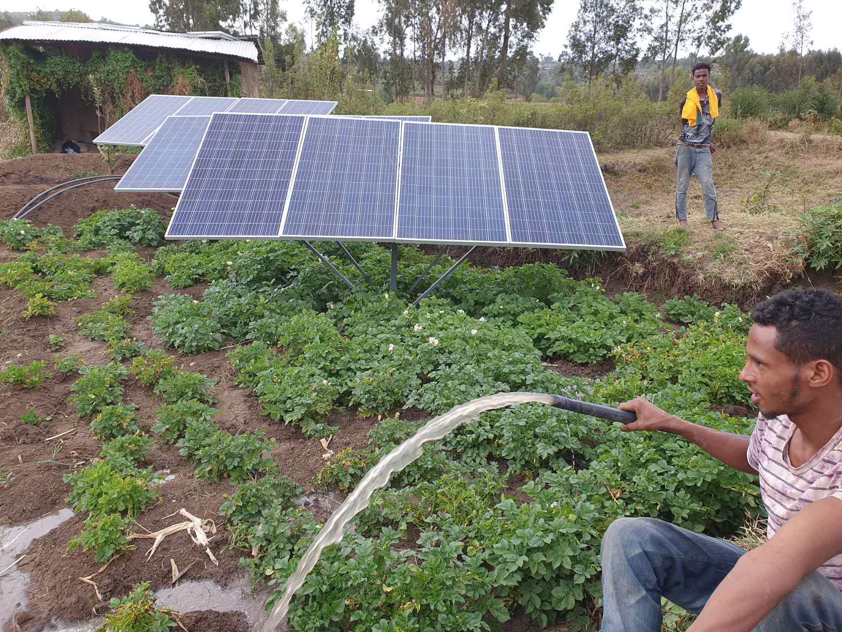 solar water pumps in improving the utilisation of water resources