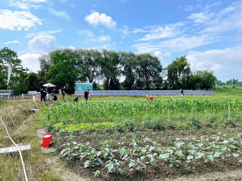 TPON Solar Pump Company Photovoltaic Experiment Base