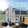 TPON supports customized and personal water pumps