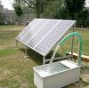 Why Solar Pumps Are Ideal for Sustainable Farming？