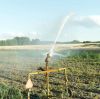 How to maintain solar water pumps to extend their service life?