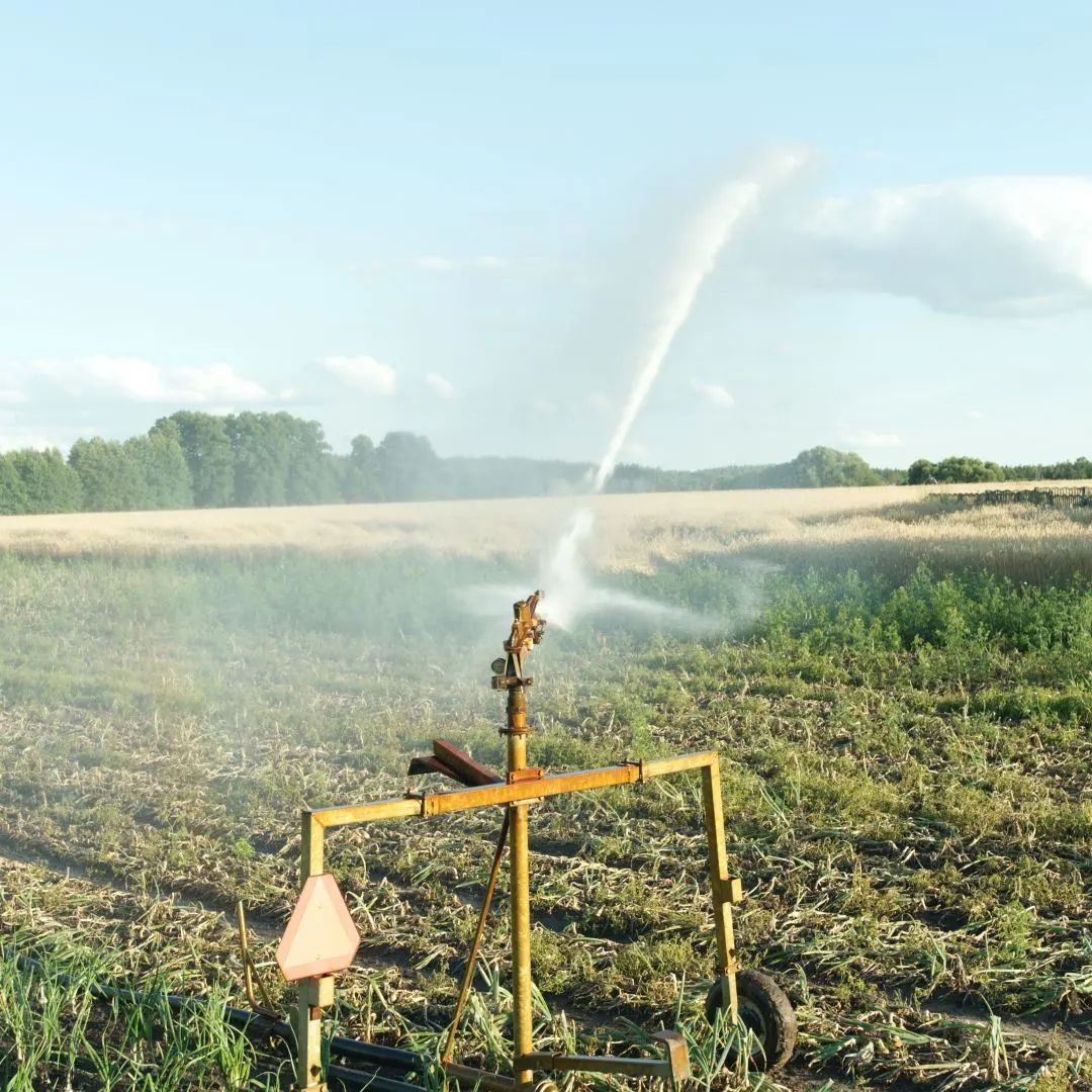 How to maintain solar water pumps to extend their service life?