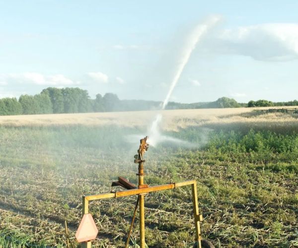 How to maintain solar water pumps to extend their service life?