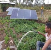The Best Solar Water Pumps Purchasing Guide