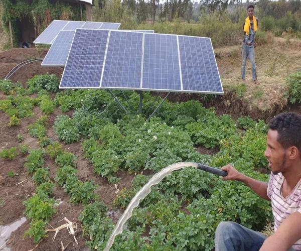 The Best Solar Water Pumps Purchasing Guide