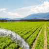 Design of Solar-Powered Irrigation Pump Systems: Key Considerations for Achieving Efficient and Energy-Saving Agriculture