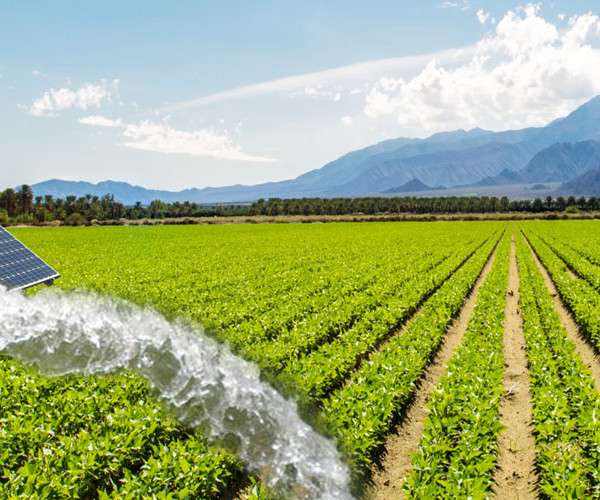 Design of Solar-Powered Irrigation Pump Systems: Key Considerations for Achieving Efficient and Energy-Saving Agriculture