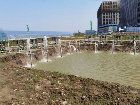 Solar Water Pumps: Low-Carbon Irrigation Tools for Safeguarding Farmland Yield