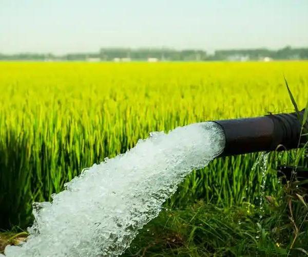 Solar Pumps vs Diesel Pumps: Cost Comparison