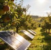 OEM vs. Branded Solar waterpump Suppliers: Which Partnership Model Is Right for Your Business?
