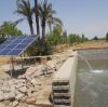 How Solar Pump Dealers Judge Product Quality