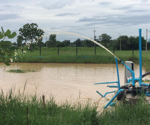 Why does your solar water pump always have problems?