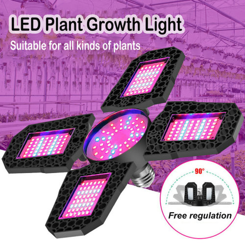 Plant growth lights manufacturer,Plant growth lights factory,Multifunctional,neoteric,technological & intelligent plant growth lights bring you into the age of intelligence.