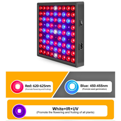 Plant growth lights factory,Multifunctional,neoteric,technological & intelligent plant growth lights bring you into the age of intelligence.