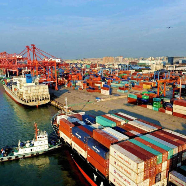 La "velocidad de China" conmociona al mundo en 2020, Hanflor-ese también llevará adelante el "espíritu chino"